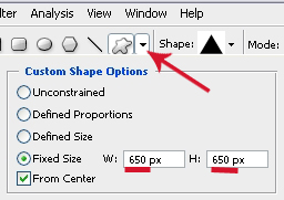 Custom Shape Options Settings Fixed Size 650px x 650px